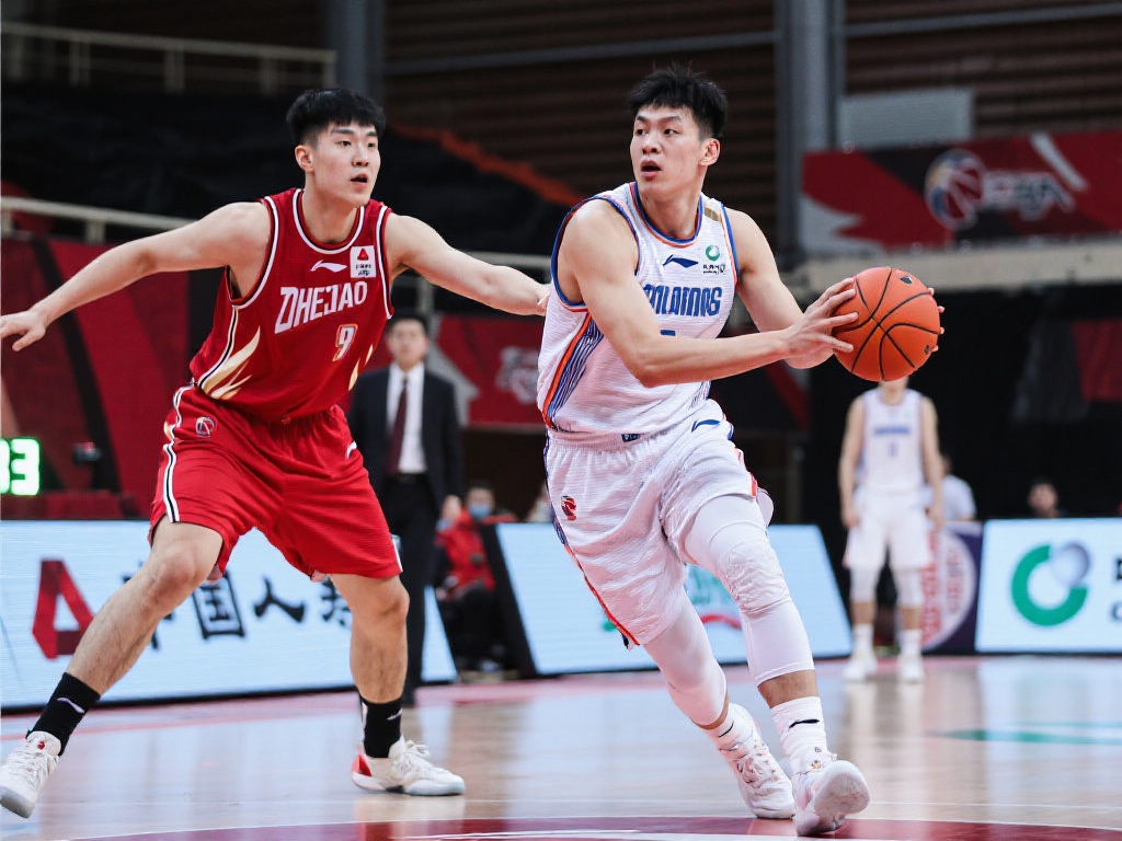 家队的未来 家队的未来